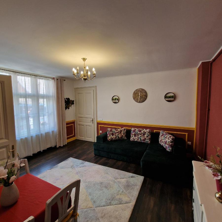 Central Park Apartment Σιγκισοάρα Εξωτερικό φωτογραφία