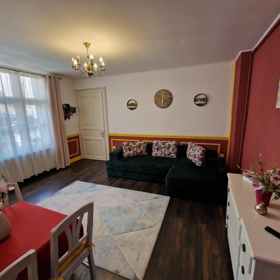 Central Park Apartment Σιγκισοάρα Εξωτερικό φωτογραφία